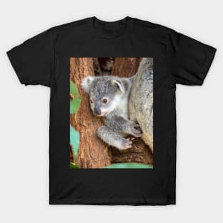 Koala Baby: Curiosity T-Shirt